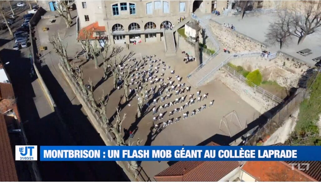flash mob tl7.jpg
